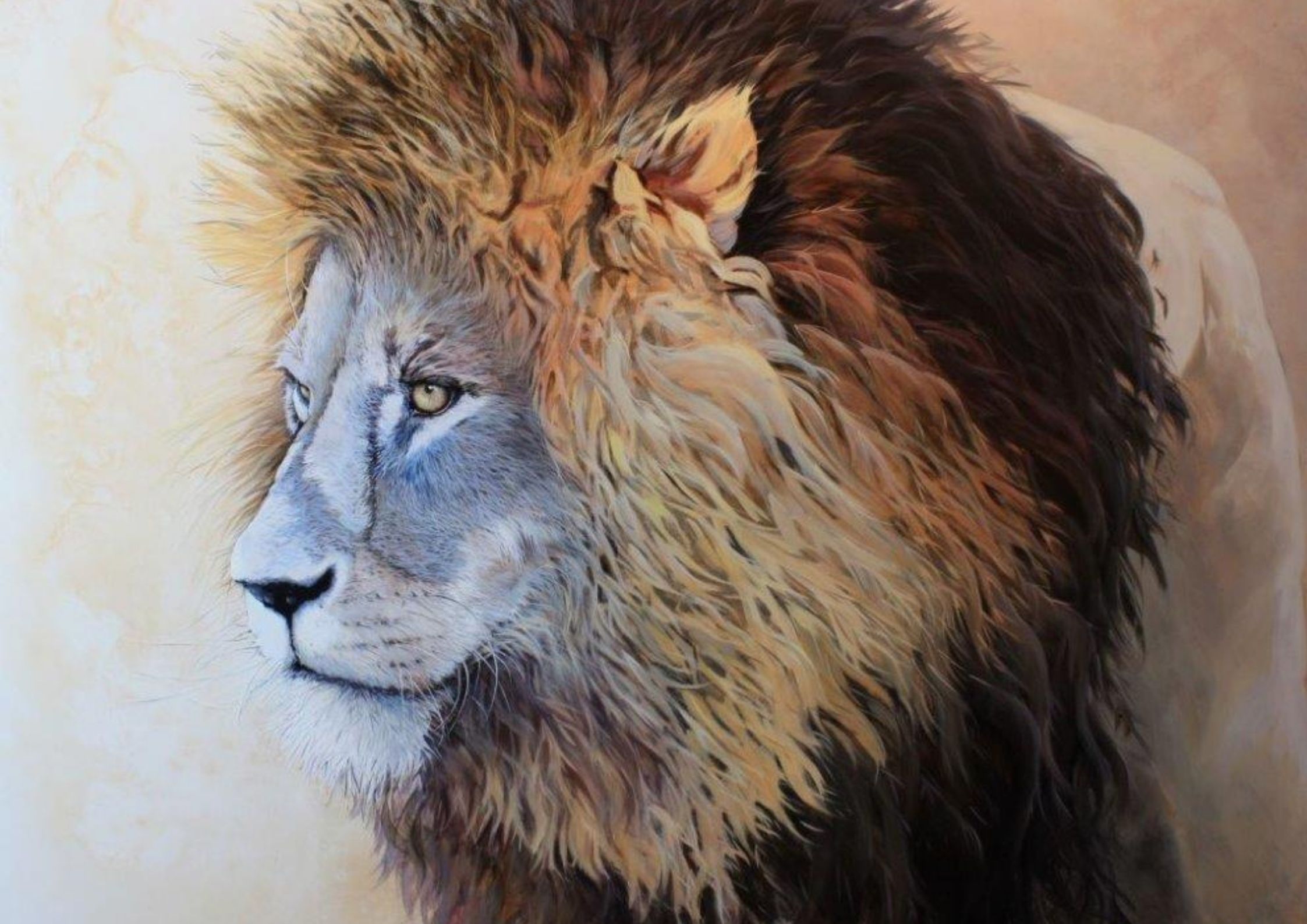 Lion III, series African savanna 