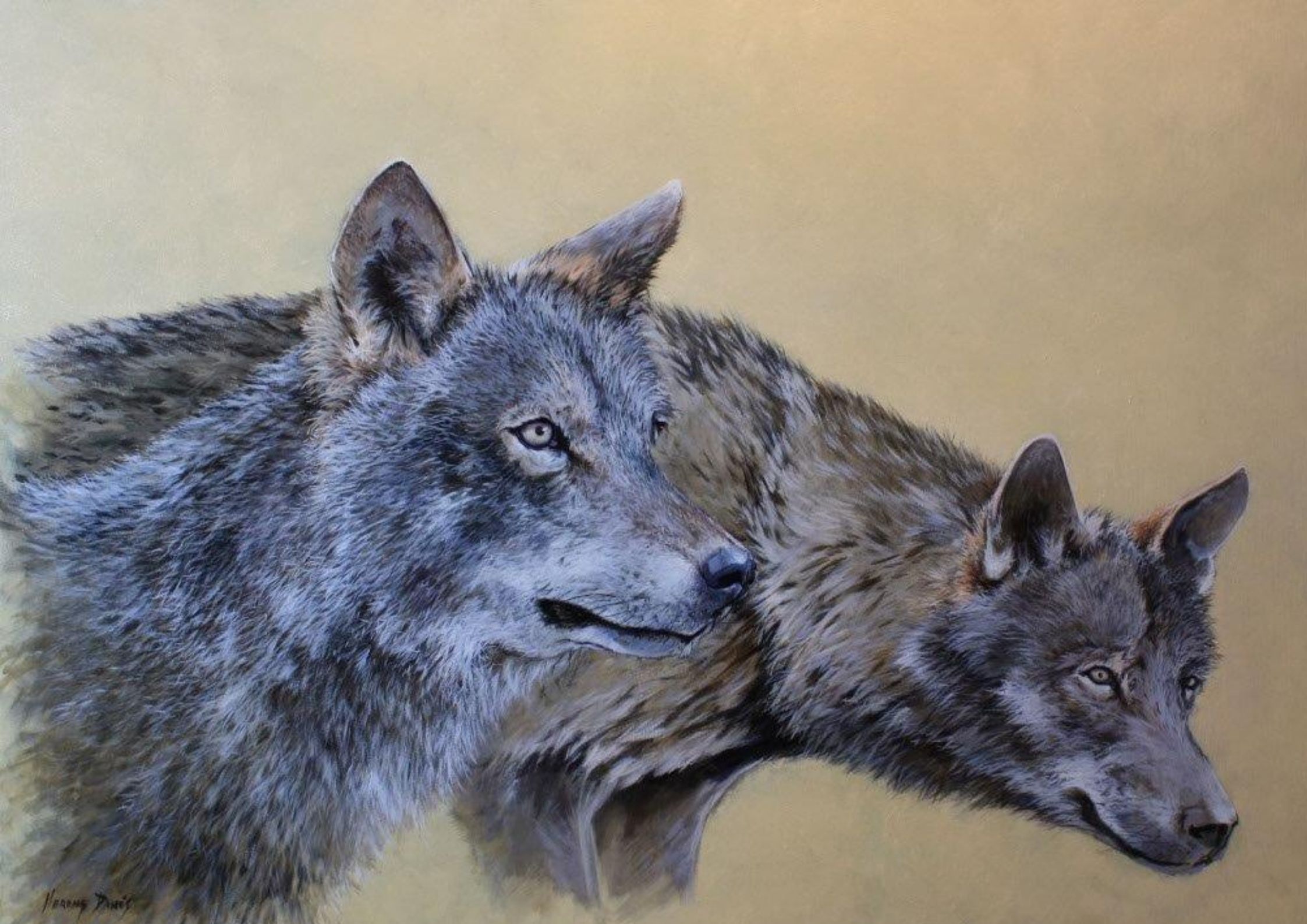 Wolves II, Iberian fauna series