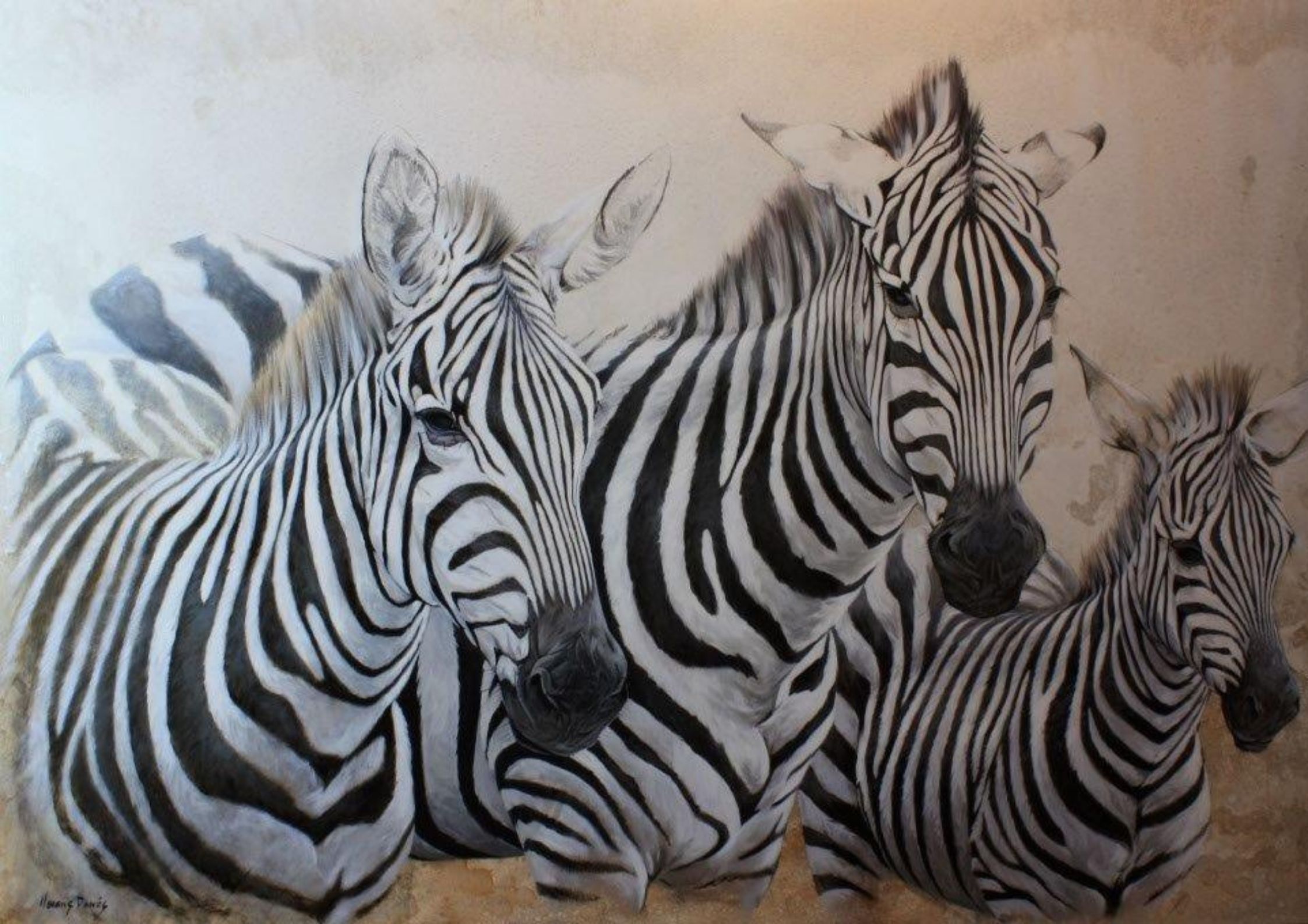 Zebras IV, series African savanna
